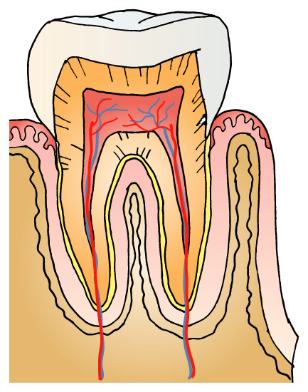 GUM06_CL23024.jpg